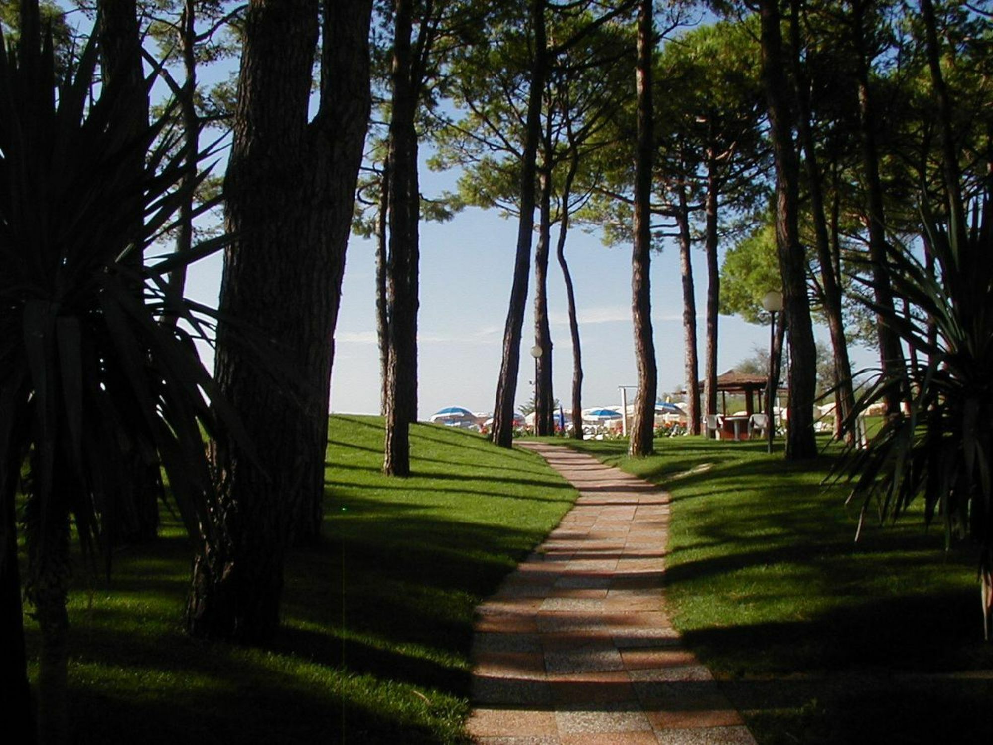 Hotel Beau Rivage Pineta Лидо-ди-Езоло Экстерьер фото